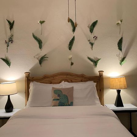 The Lodge At Cypress Falls Wimberley Extérieur photo